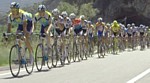 Andy Schleck w�hrend der siebten Etappe der Tour de France 2009